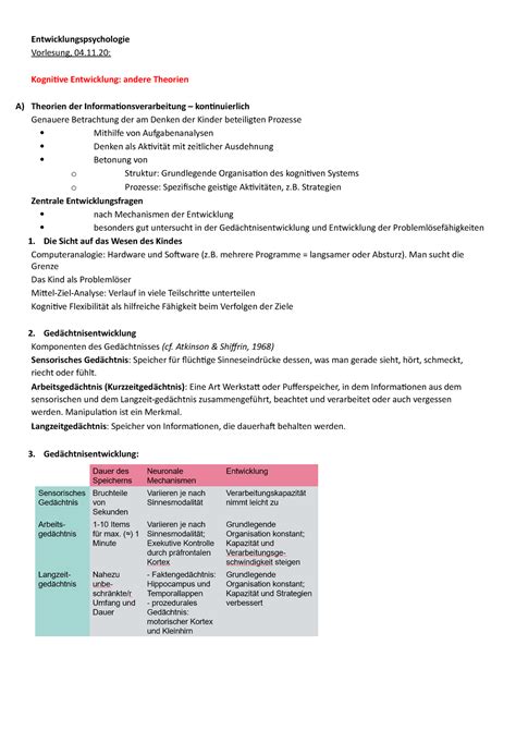 Vl Kognitive Entwicklung Andere Theorien Entwicklungspsychologie