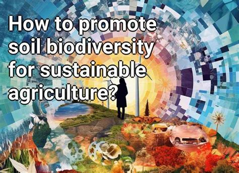 How to promote soil biodiversity for sustainable agriculture? – Eco.Gov.Capital