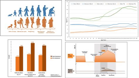 Sex Differences In Lipids A Life Course Approach Atherosclerosis