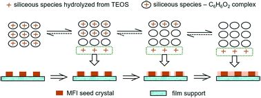 Controlled Release Of Siliceous Species For The Fabrication Of Highly B