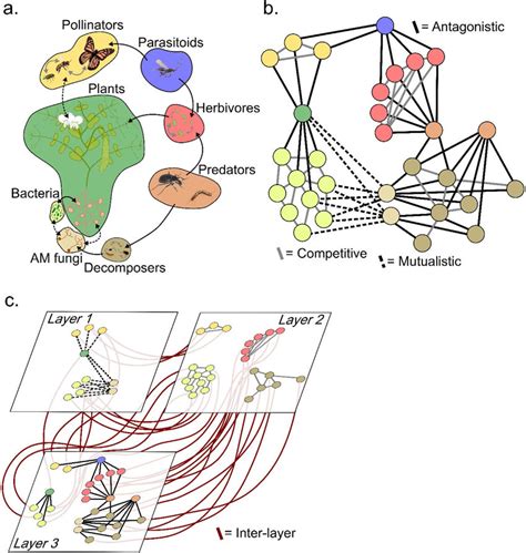 Multilayer Networks In Agro Ecosystems A A Diagrammatic