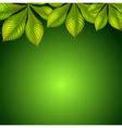 A Border Design Made Of Wood And Green Leaves Vector Image