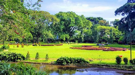 10 Spot Keren Di Kebun Raya Bogor Bisa Dinikmati Wisatawan Nomor 2