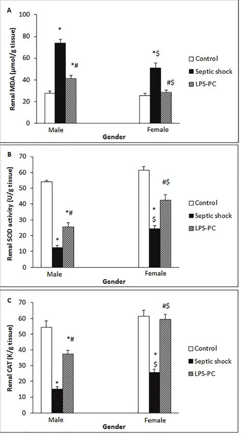 The Figure Demonstrates The Effect Of Sex Differences On Renal Download Scientific Diagram