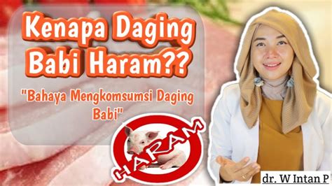 Bahaya Mengkonsumsi Daging Babi Youtube