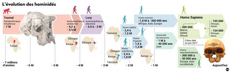 Coup De Vieux Pour Homo Sapiens Ladepeche Fr