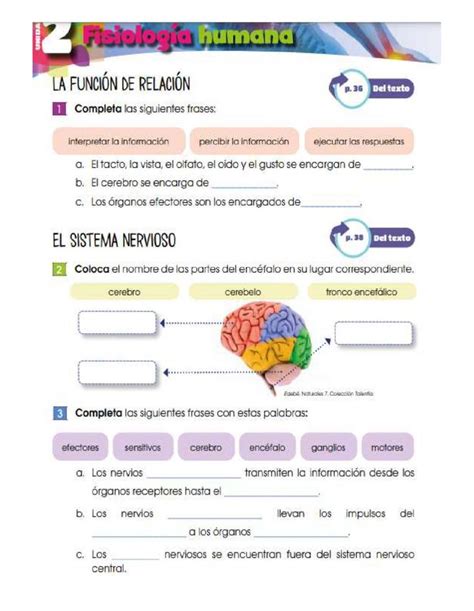 La función de relación y sistemas worksheet Ciencias de la naturaleza