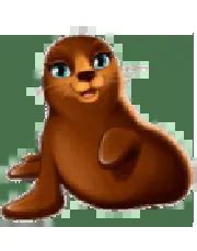 Раскраска Морской Котик распечатать