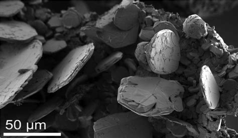 Graphite From Biomass The Wagner Lab