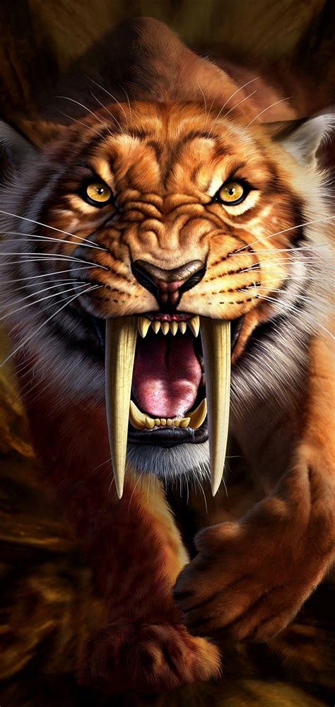 Dangerous Animals Wallpapers - Top Free Dangerous Animals Backgrounds - WallpaperAccess