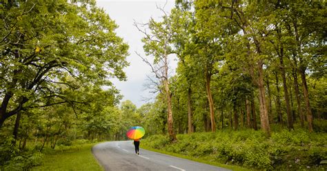 Monsoon Destination To Visit In Karnataka During August 2024