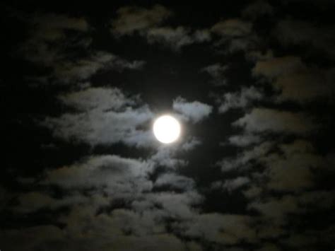 Free picture: moon, night, landscape