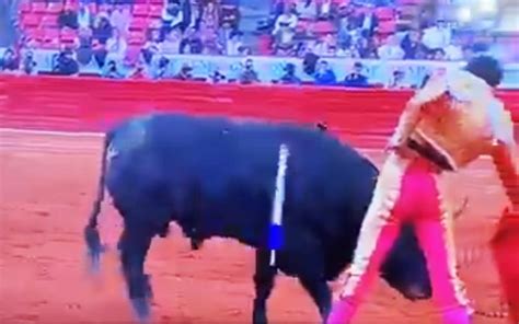 Torero sufre aparatosa cornada en la Plaza México El Remate