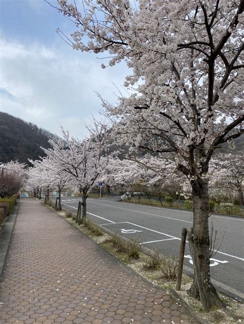 4月4日 ユラックス熱海の風景 郡山ユラックス熱海 公式ホームページ