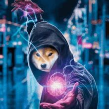 Dog Wallpaper 4k Cool Gif - Infoupdate.org