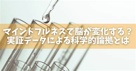 マインドフルネスで脳が変化する？実証データによる科学的論拠とは オンラインカウンセリングのcotreeコトリー