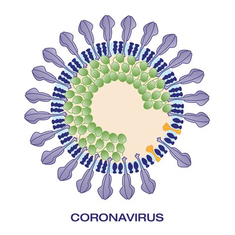 Lifesensors社 Sars Cov 2 Research Tools Antigens Antibodies Detection