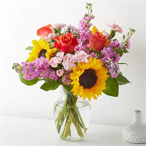 Pet Loss Gifts & Flowers: Pet Memorial Day Gifts | FTD