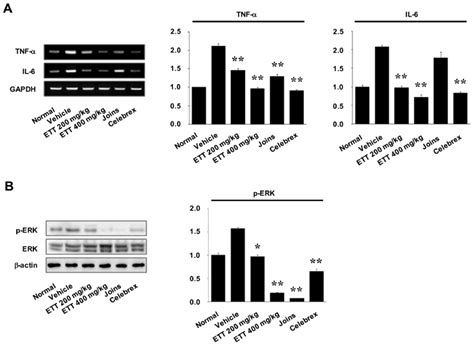 Ett Suppressed Proinflammatory Cytokine Expression In Miainduced