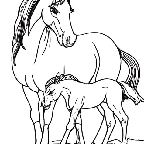 Livro De Colorir Em Ferradura Desenho Cavalo Cavalo Branco Png