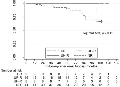 Cumulative Renal Survival Rates According To Remission Status Download Scientific Diagram