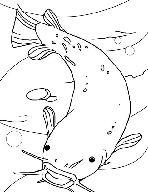 Realistic Catfish Pages Coloring Pages