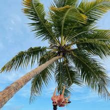 Carol Moreira Nude Leaks Fapopedia