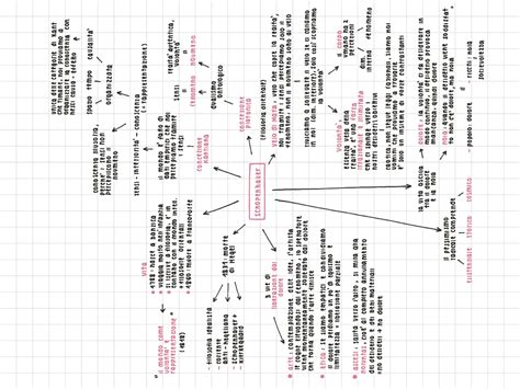 Mappa Concettuale Su Schopenhauer Schemi E Mappe Concettuali Di