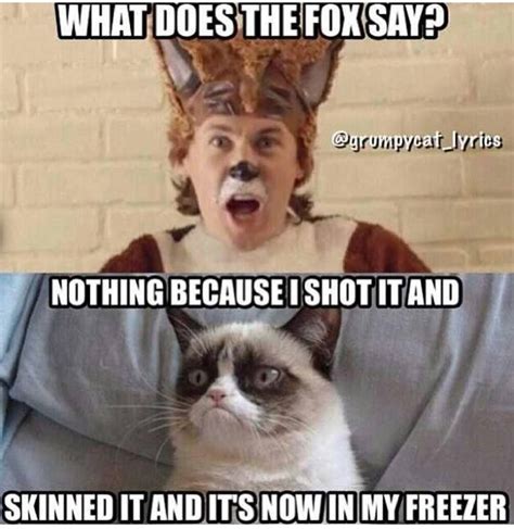 What Does The Fox Say Grumpy Cat Nothing Because I Shot It And Skinned It And Now Its In My