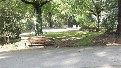 Nantes Cimeti Re Parc Et Arboreum Questions D Lus Sur Les