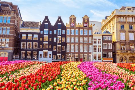 Study Abroad At Tio University Of Applied Sciences Netherlands