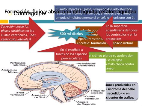 Capitulo Flujo Sangu Neo Cerebral Ppt