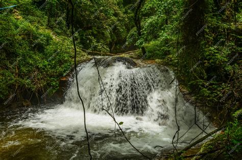 Premium Photo | Beautiful waterfalls in the jungle.