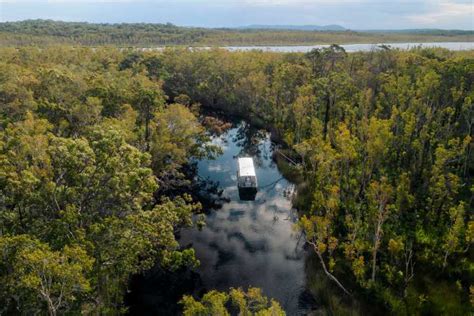 Noosa Everglades Explorer Cruise With Optional Canoeing GetYourGuide