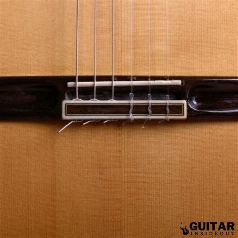 Types Of Guitar Bridges A Comprehensive Guide Guitar Inside Out