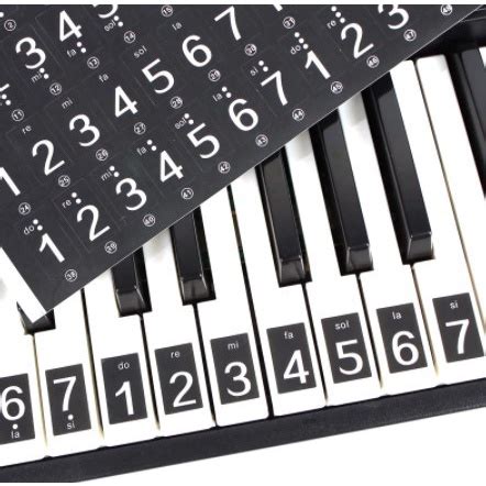 Music Keyboard Piano Stickers 49 54 61 Key for Label Notes Piano Learners | Shopee Singapore