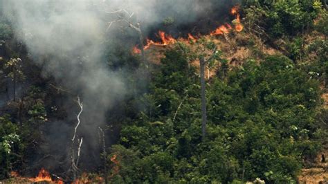 Bolsonaro Promete Combatir Los Incendios Del Amazonas Y Rechaza Las