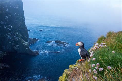 Ellidaey and the loneliest house in the world - Find Islands