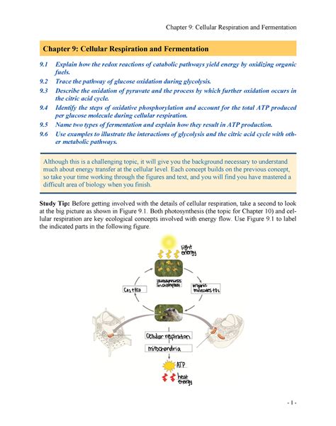 Activereadingnotes 09part1short Biz Chapter 9 Cellular