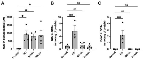 Ijms Free Full Text Nitric Oxide Affects Heme Oxygenase 1 Hepcidin