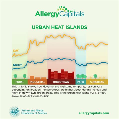 Ragweed Pollen Allergy | AAFA.org