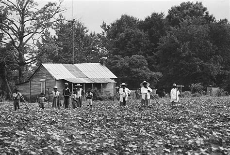 The History of Rural Black Land Loss | TIME