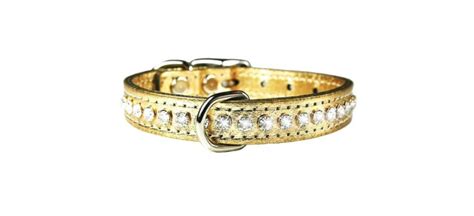 Best gold dog collar | WFLA