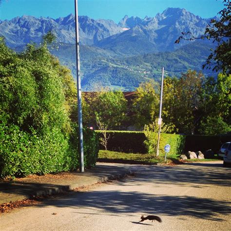 Nature en ville et urbanisme LPO Auvergne Rhône Alpes