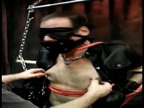 Free Nipple Bdsm Gay Porn Videos XHamster