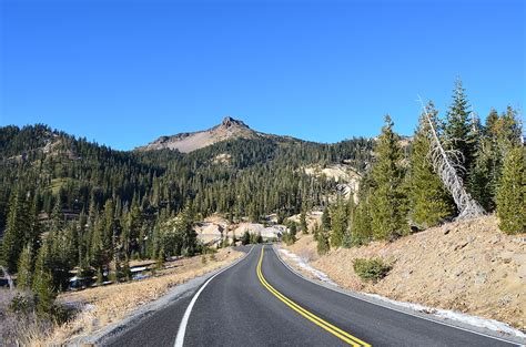 One point perspective road with pine trees and mountain, free highway HD wallpaper | Wallpaper Flare