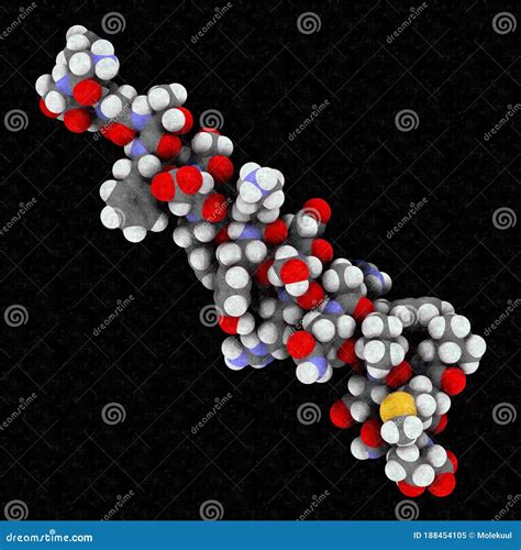 Glucagon Peptide Hormone 3D Rendering Has Blood Sugar Level