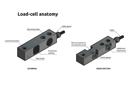 Load Cell Weighing Sensor - Loadsense Scales