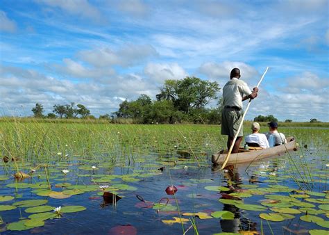 Visit The Okavango Delta, Botswana | Tailor-Made Trips | Audley Travel UK