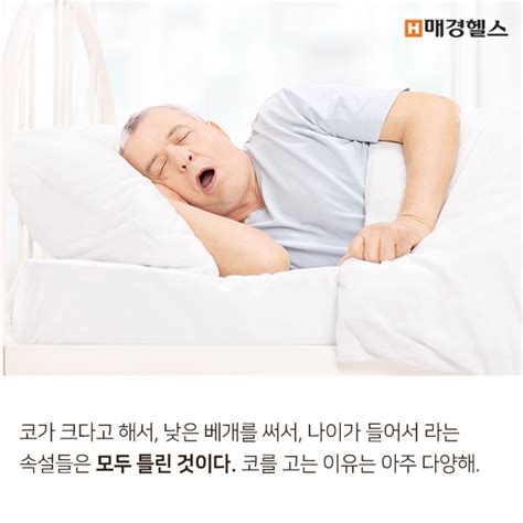 건강스펀지 코가 크면 코골이가 심하다